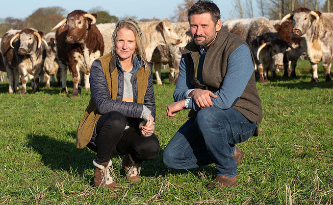 Longhorns at the heart of farm to shop business