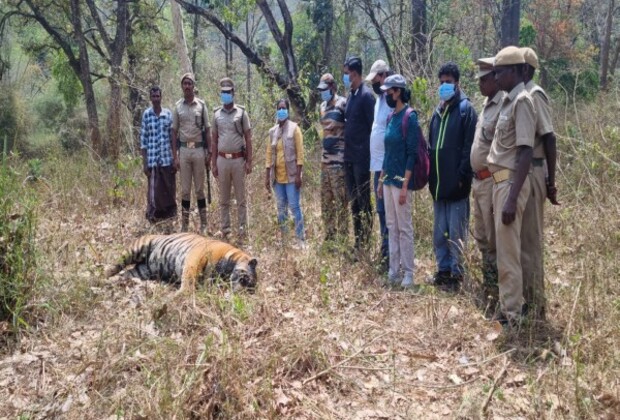 Tamil Nadu: Male tiger found dead in Nilakottai Forest Reserve