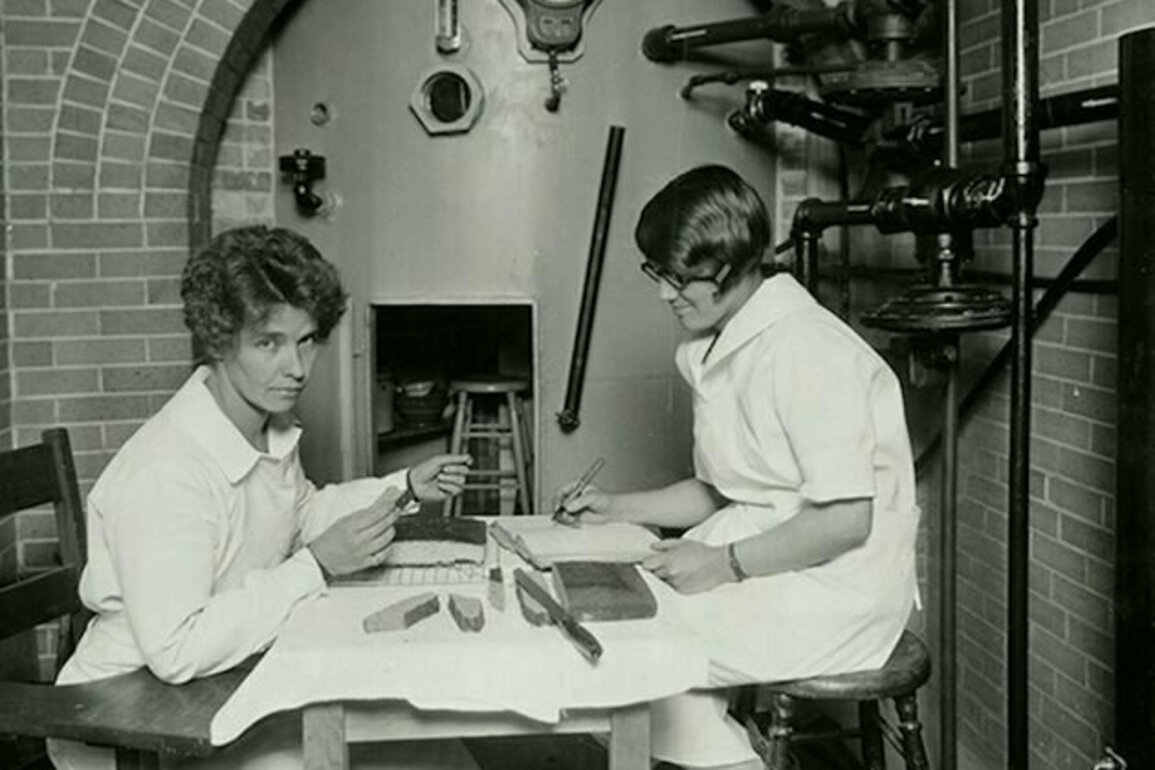 Perfect brownies baked at high altitude are possible thanks to Colorado's home economics pioneer Inga Allison