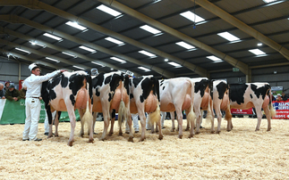 Welsh Dairy Show champion does the double