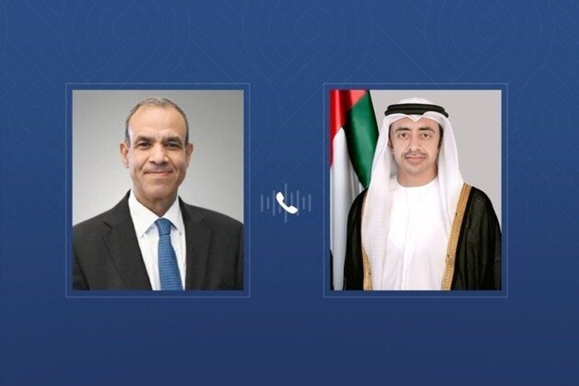 Abdullah bin Zayed, Egyptian FM discuss brotherly ties, regional developments
