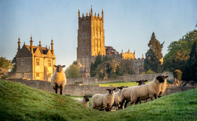 Church of England urged to address its 'significant' emissions