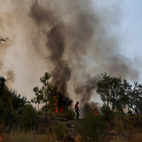 Europe faces record-breaking wildfires as climate change worsens 2025 season