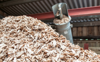 Woody biomass is a feedstock for biofuels | Credit: iStock