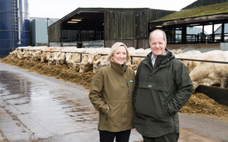 Goldies Charolais herd looking ahead to Stirling bull sales