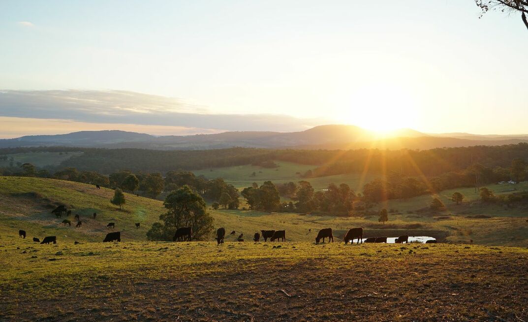 Peak farming bodies have reiterated fears farmers may have to sell farmland to pay tax bills if proposed changes to superannuation are passed in the Senate.