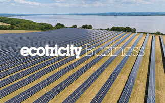 The three easy carbon-cutting wins for all businesses