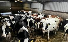 Welsh family dairy farm questions future after bTB breakdown