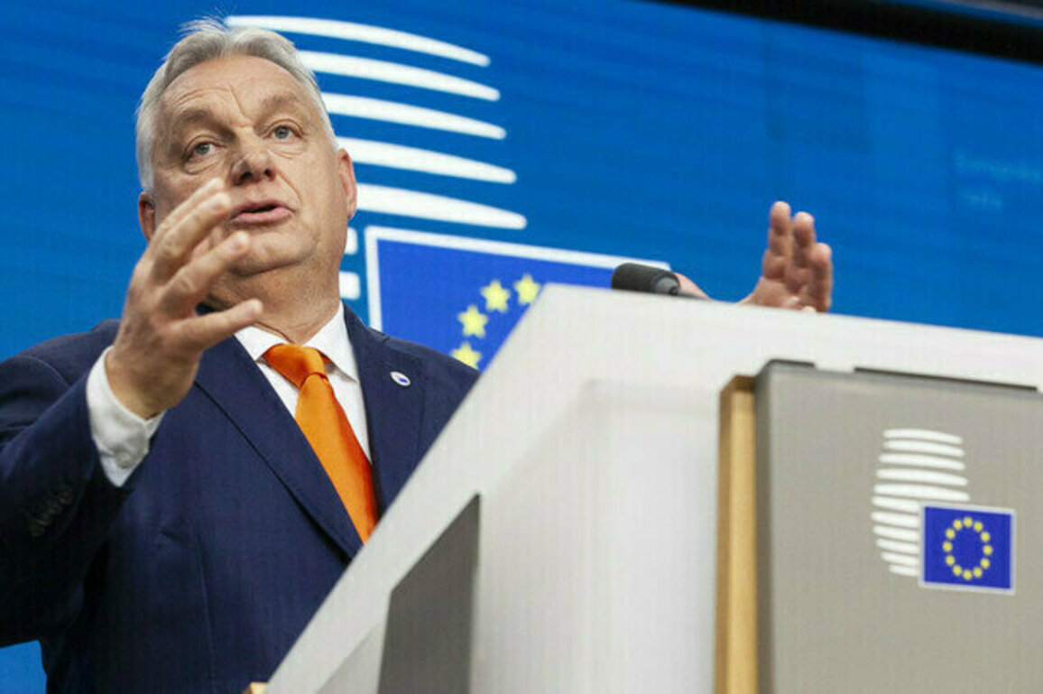 Ukraine conflict killing EU economy  Orban