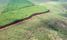  Área do projeto de minério de ferro Bloco 8, da SAM, em MG/Divulgação