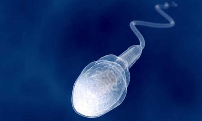 Sperm count declining in the West Sperm count declining in the West