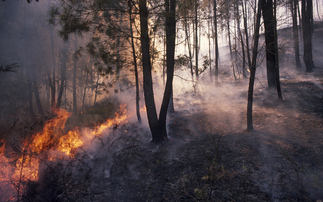 Climate change created 'tinderbox conditions' for European wildfires, scientists warn
