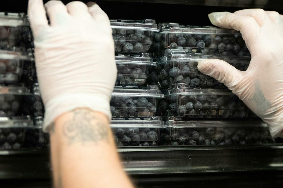 Opinion- Are tariffs going to obstruct our access to blueberries&quest;