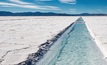 Bearing Lithium, which has a stake in the Maricunga brine project in Chile, also rose