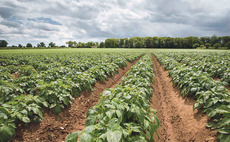 Precision farming focus for Elveden Estate