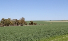 GRDC, AGIC host inaugural Growers Day