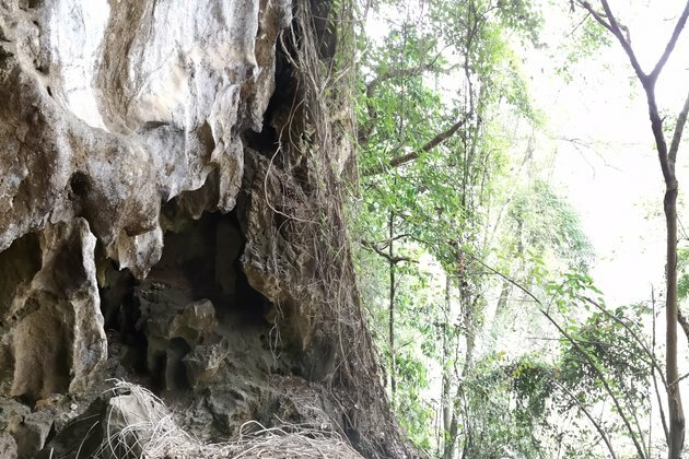 A fossil tooth places enigmatic ancient humans in Southeast Asia