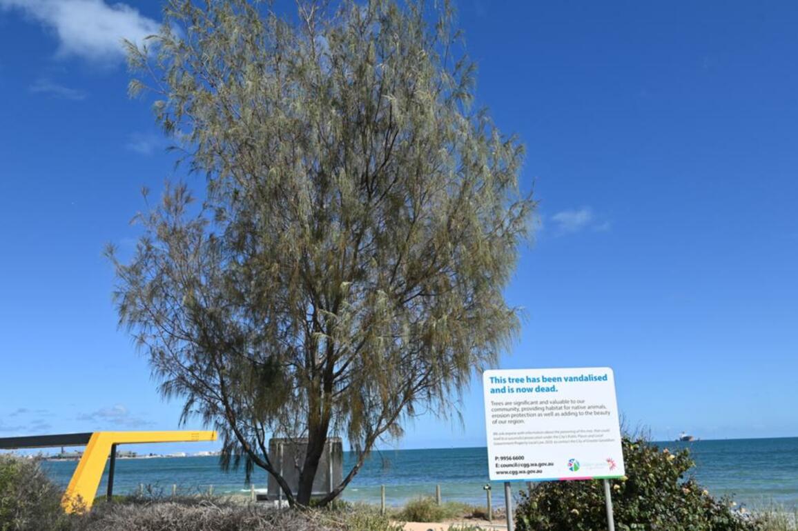 City of Greater Geraldton asks for public assistance to find tree vandals