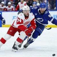 Lightning hold off late charge from Red Wings for overtime win