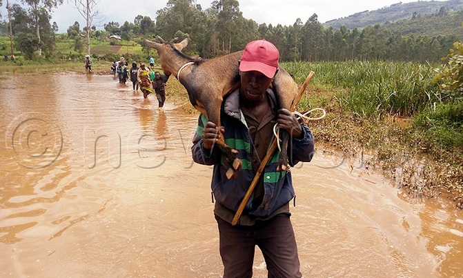 Floods, landslides: Gov't speaks out on disaster situation Floods, landslides: Gov't speaks out on disaster situation