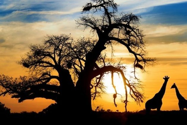 Another R30m in tourism relief for tour guides