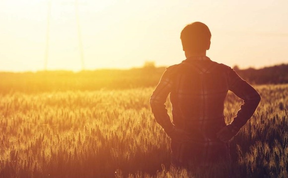 Agriculture 'best occupation' for work-life balance amid pandemic, survey reveals