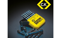 Power To Success With Carl Kammerling International 