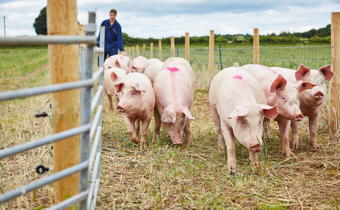 Pork Environmental Roadmap highlights progress made by pig sector in reducing carbon footprint 