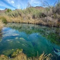 Amargosa named on list of 10 'most endangered' rivers