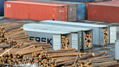 Timber import volumes 'fractionally ahead' of 2023
