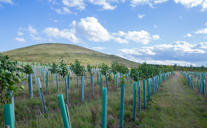 The former open cast coal mine site in Northumberland selected by Atom | Credit: Atom bank