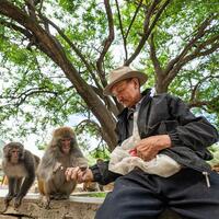 InXizang | Twenty-five years of love: Tibetan Grandpa guards wild macaques