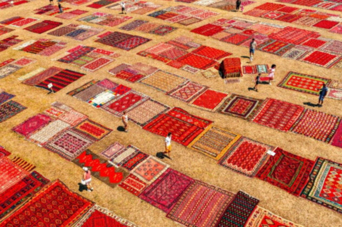 Dutch Collector Unveils Bulgarias Largest Outdoor Rugs Exhibition