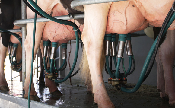 Milk price cuts leave farmers questioning new dairy regulations