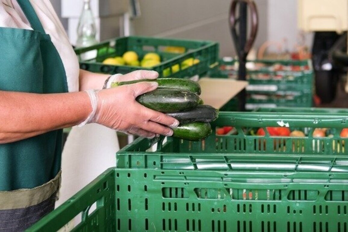 Food insecurity hits record high in MA as costs rise   