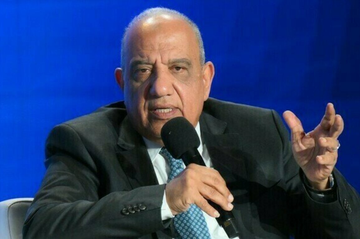 Egypt to complete first nuclear plant by 2029  minister
