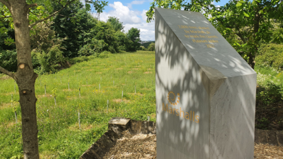 Marshalls plants 2,800 trees to mark royal jubilee
