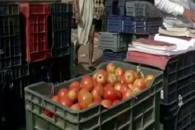 Delhi: Tomato prices soar as monsoon disrupts supply