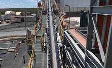 IGO says challenged Greenbushes can win amid lithium rally