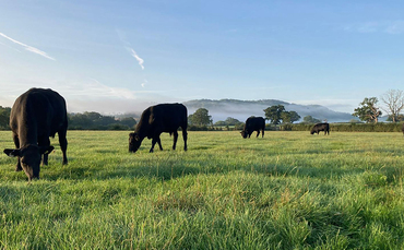 Working towards net zero | Farm News | Farmers Guardian