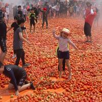 Asia Album: Tomato festival held in Hwacheon, S. Korea