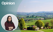 Opinion: Where do we lose people interested in a farming career?