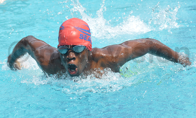 USF to fine slow swimmers USF to fine slow swimmers