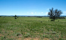 Whitehaven is bringing forward mining at Vickery, albeit through a capital light version.