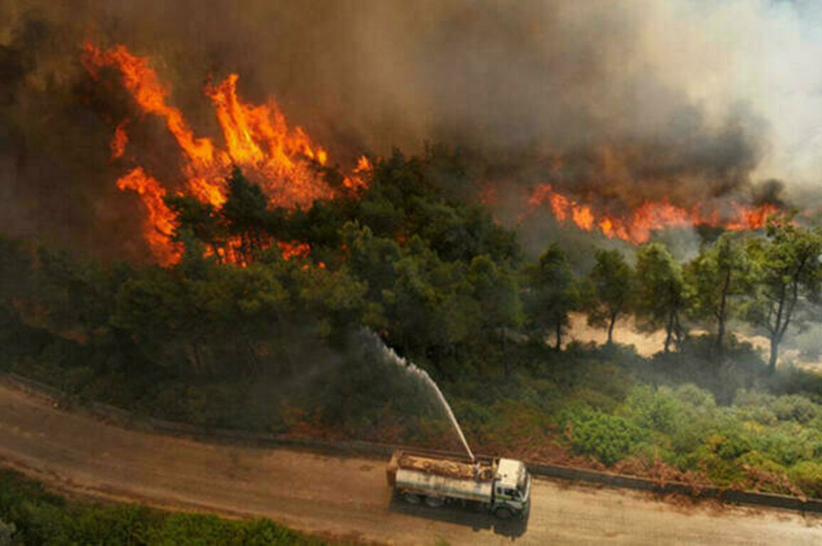 Syria fights 'catastrophic' wildfires for fourth consecutive day