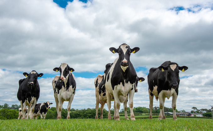 Dairy farmers need to take the opportunities when they come after year of extremes