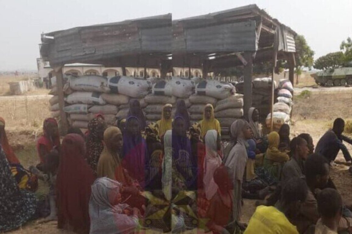 Dozens of hostages rescued in Nigeria