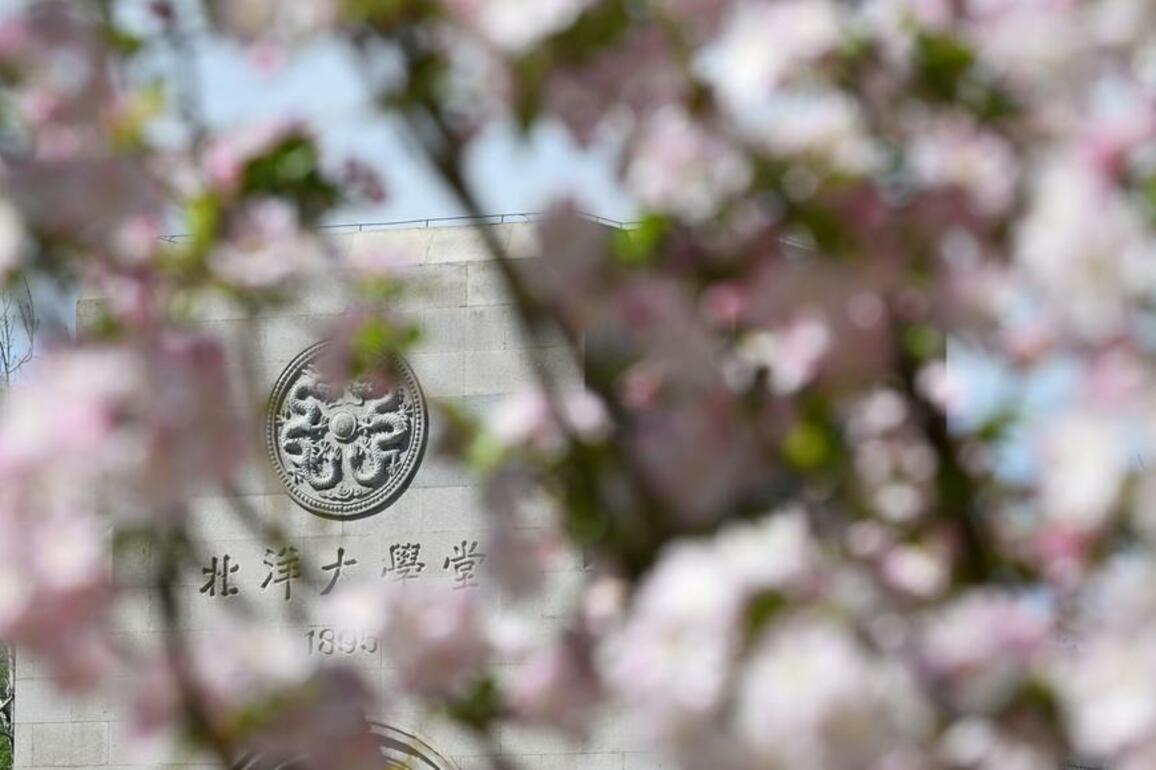 Culture&Life | Crabapple blossoms attract visitors at Tianjin University