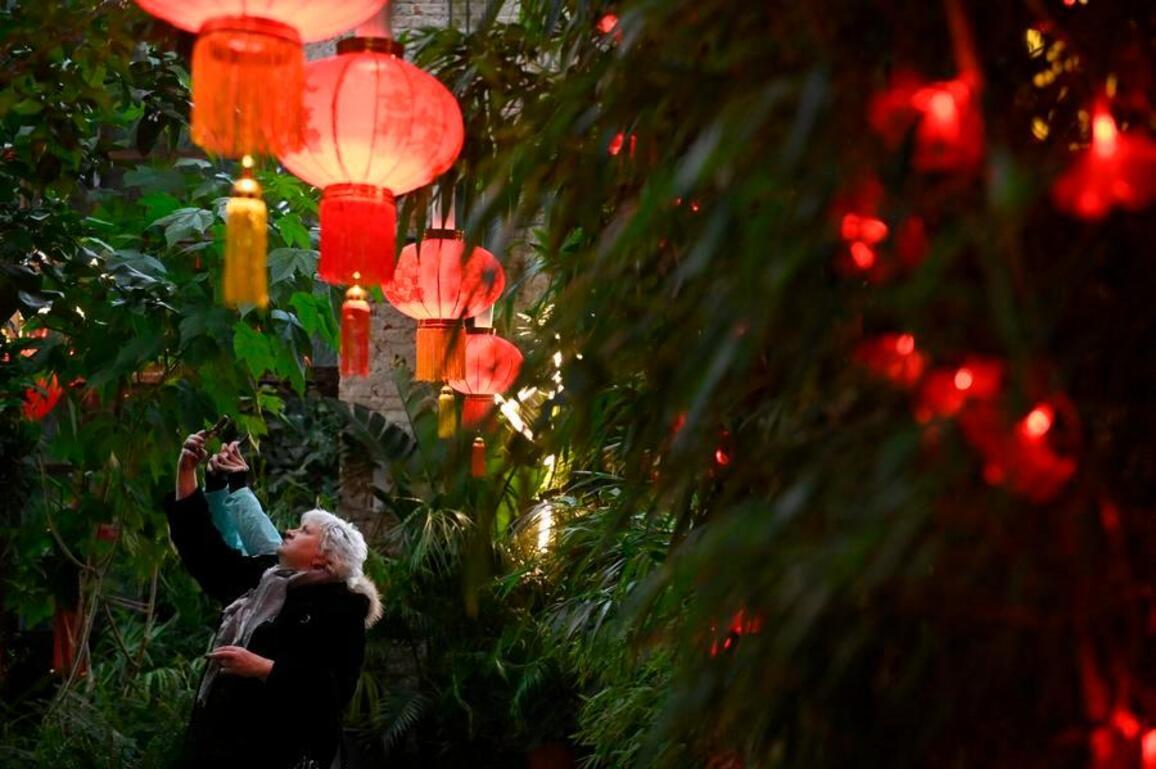 Feature: Chinese Spring Festival gains traction in Russian universities