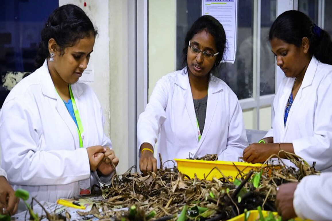 From weed to wonder: Tiruchirappalli ecologist turns water hyacinth into sustainable packaging paper